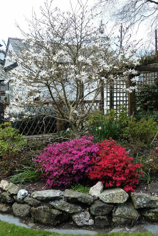 The White Cottage B&B 圣提斯 外观 照片